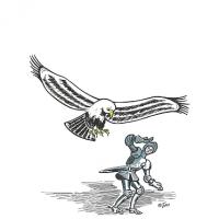 Knight Hawk